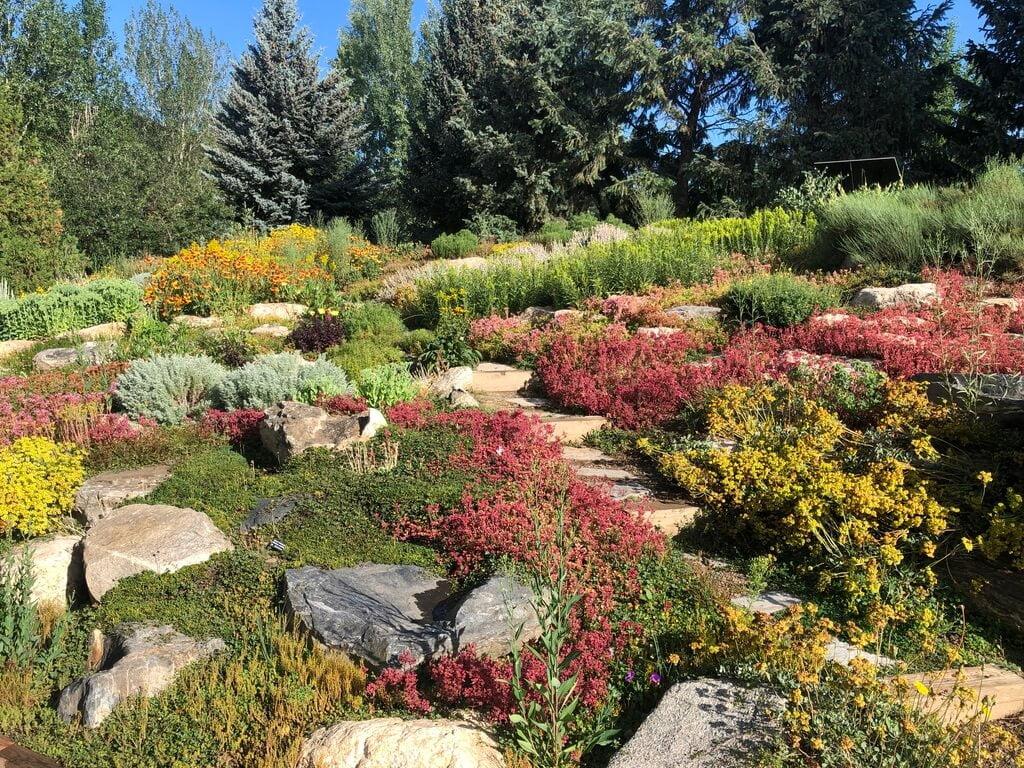 colorful plants landscaped with rock